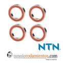 NTN Premium Bearings, 