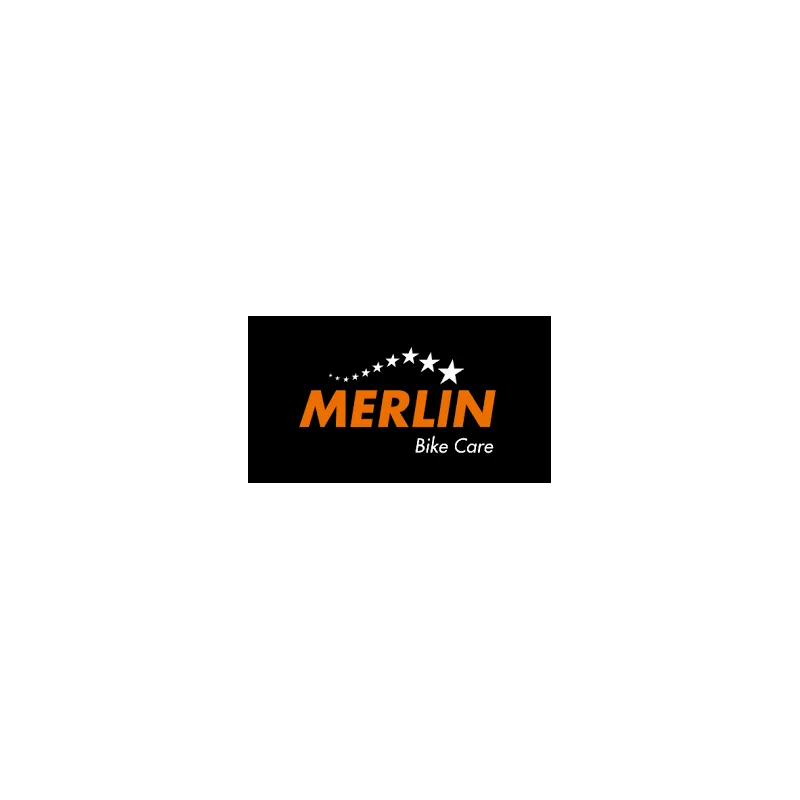 MERLIN