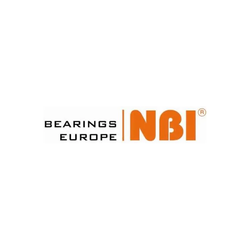 NBI BEARINGS EUROPE