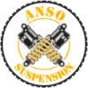 ANSO SUSPENSION