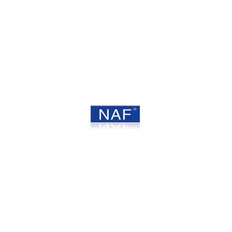 NAF BEARINGS
